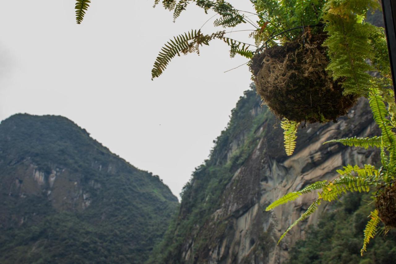Runas Inn Machupicchu Екстериор снимка