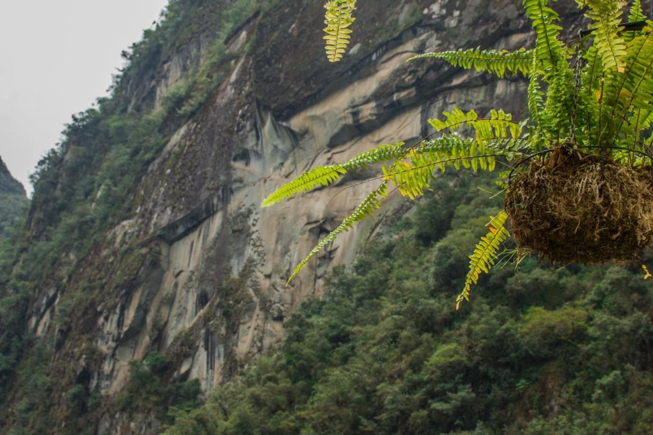Runas Inn Machupicchu Екстериор снимка
